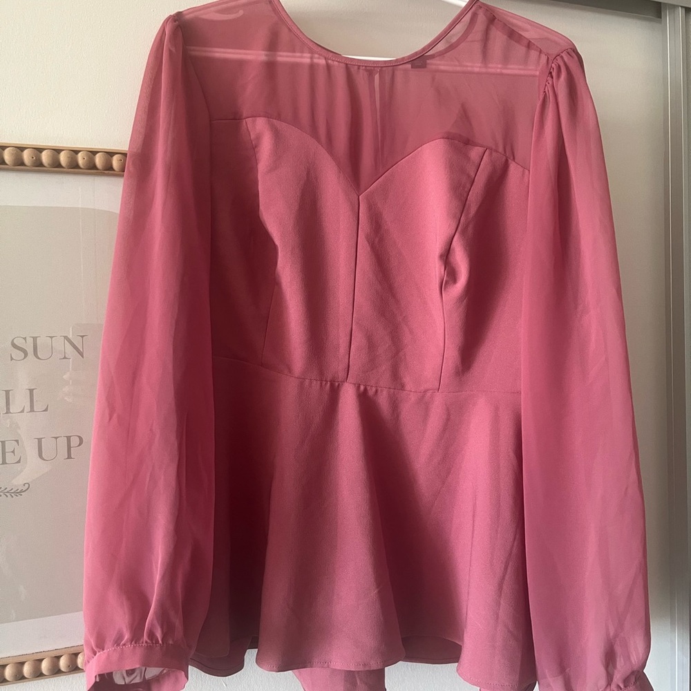 Elegant Pink Sheer Women's Top torrid size 2